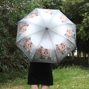 방울 고양이 3단 자동우산